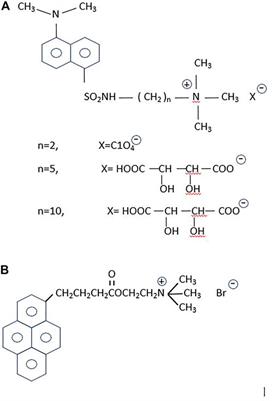 Frontiers | Fluorescence microscopy imaging of a neurotransmitter 